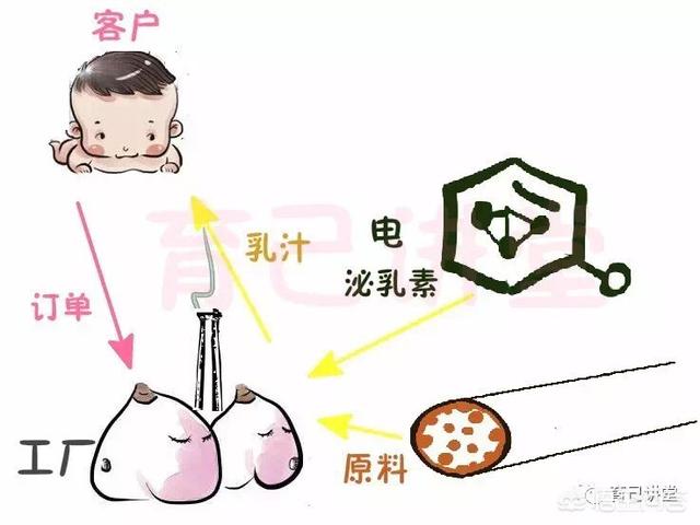 用什么方法让乳汁分泌快:吃什么食物激发乳汁分泌 吃什么菜喝什么汤会涨母乳，怎么做法？