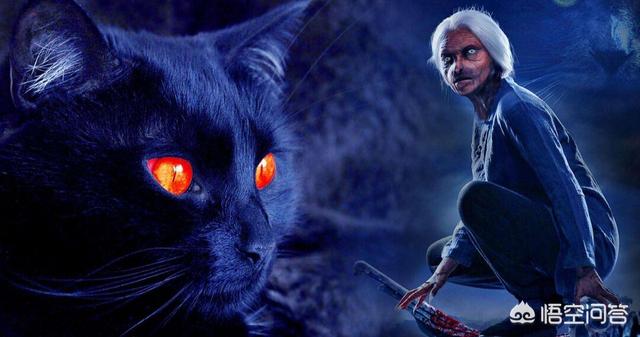 猫脸老太太事件真相:跟《中邪》同类型的电影有哪些？