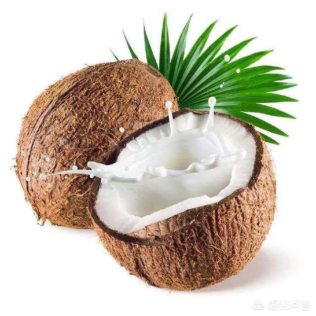 生活中哪些人群应该忌食椰子，椰树椰汁的营养和功效有哪些