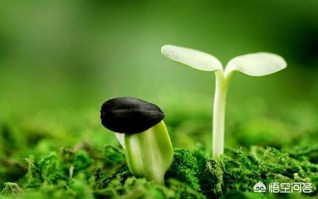 男人到40岁如果没有成就,是不是这辈子就完了？