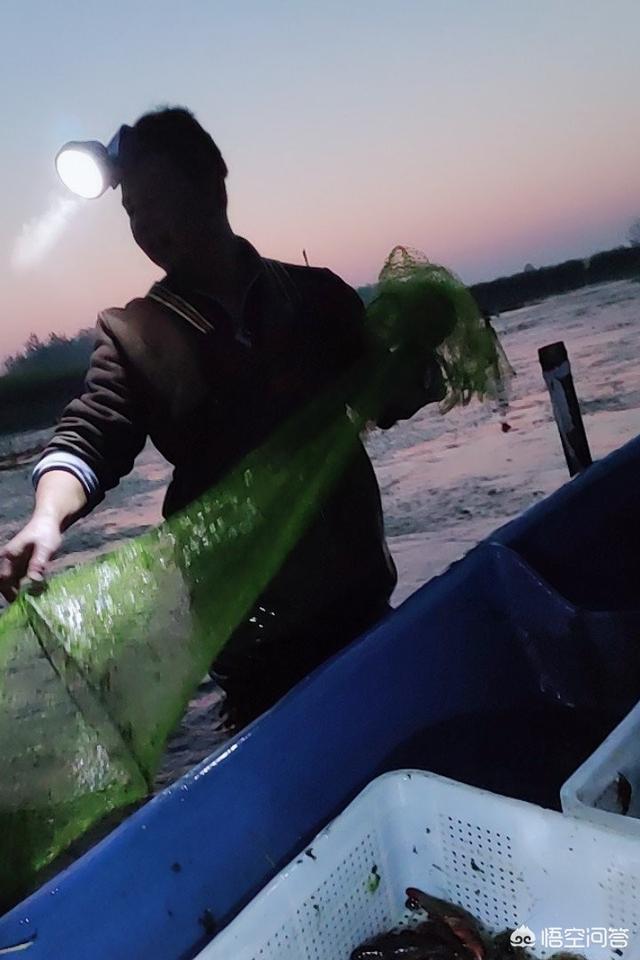 聚维酮碘:聚维酮碘和碘伏一样吗 虾塘雨天可以用聚维酮碘消毒吗？