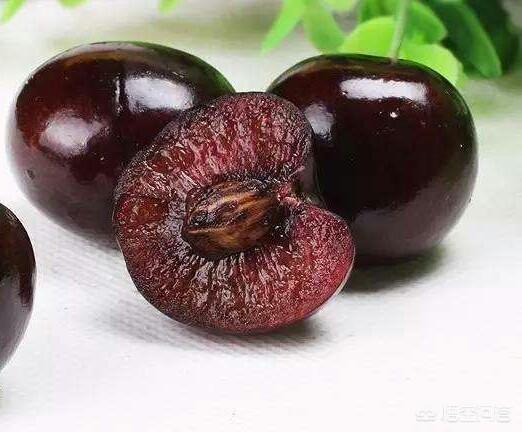 白鹿原樱桃(白鹿原樱桃谷)