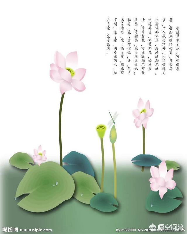吴三省和解连环:解连环真的在西沙墓死了吗