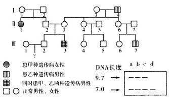 常见遗传病:常见遗传病基因筛查有必要做吗 有哪些疾病的遗传传男不传女？