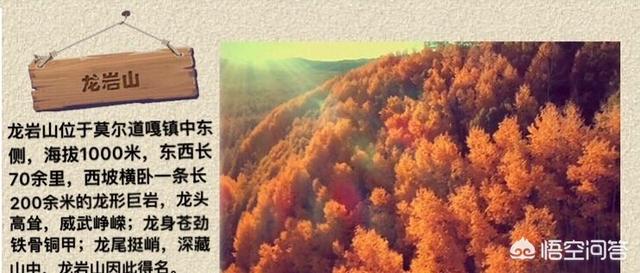 内蒙古呼和浩特<a href=https://maguai.com/list/52-0-0.html target=_blank class=infotextkey>旅游</a>攻略:呼市市内有什么好玩的地方？