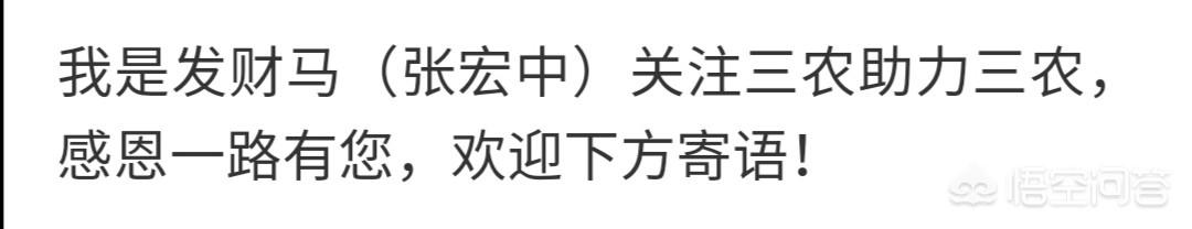 伪狂犬病发病症状前兆:母猪伪狂犬可引起新出生仔猪腹泻吗？