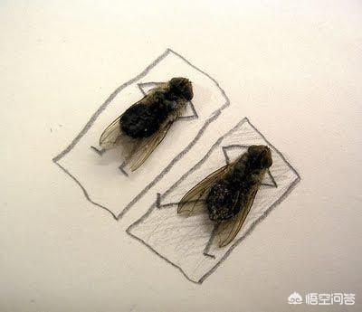 已婚少妇每天找男朋友聊天，正常吗求解答～谢谢