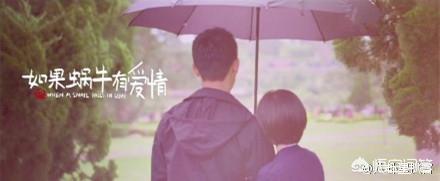 蜗牛也有爱情:有什么好看的悬疑爱情甜宠小说？例如如果蜗牛有爱情之类的？