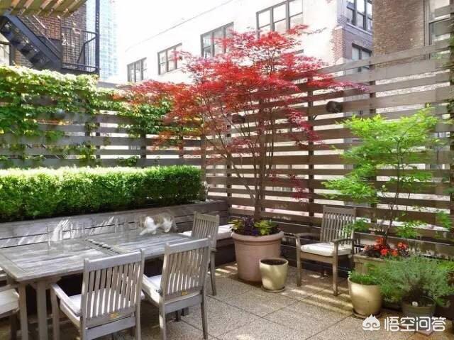 怎么做院子围墙又便宜又好看？插图50