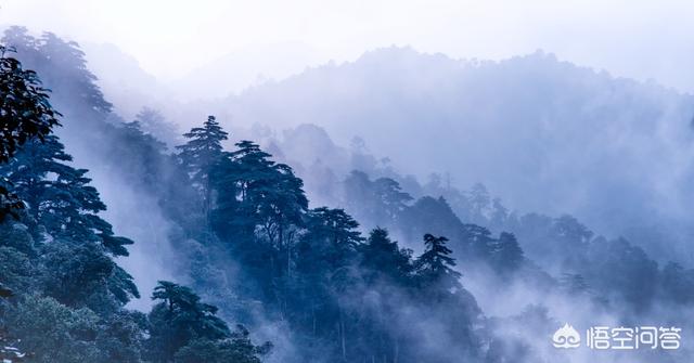 莽山烙铁头蛇图像:近期适合去宜章莽山景区吗？