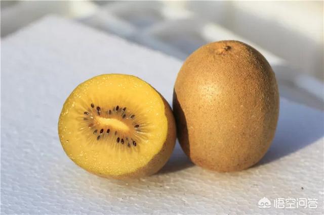 奇异果被称为中国国果，奇异果和猕猴桃成熟时间一样吗？