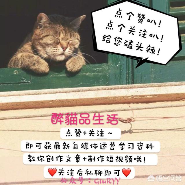 头条问答 很甜的日剧有哪些 小薰lf的回答 0赞