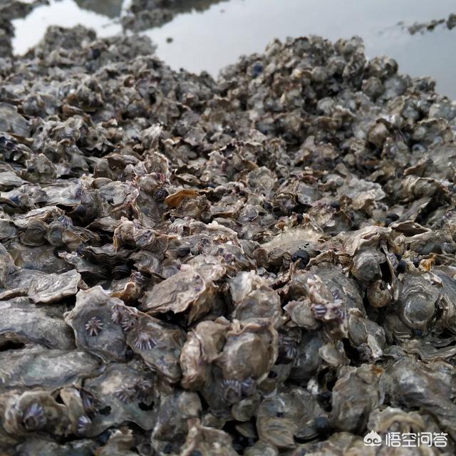 天津最适合看海的地方在哪？