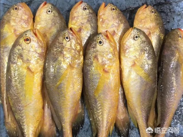 浙江海边旅游推荐:浙江哪里可以旅游，看到大海的？