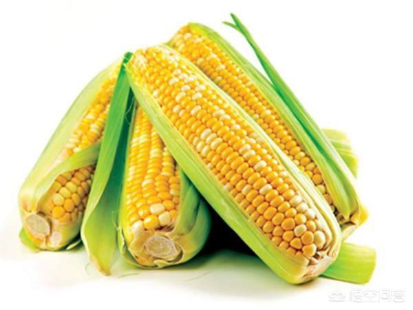玉最好的是什么品种,中国最好的玉米品种是什么？