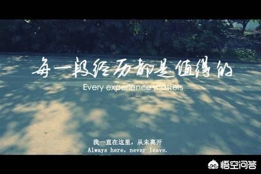 如果有人评论你的文章,你会回复吗？