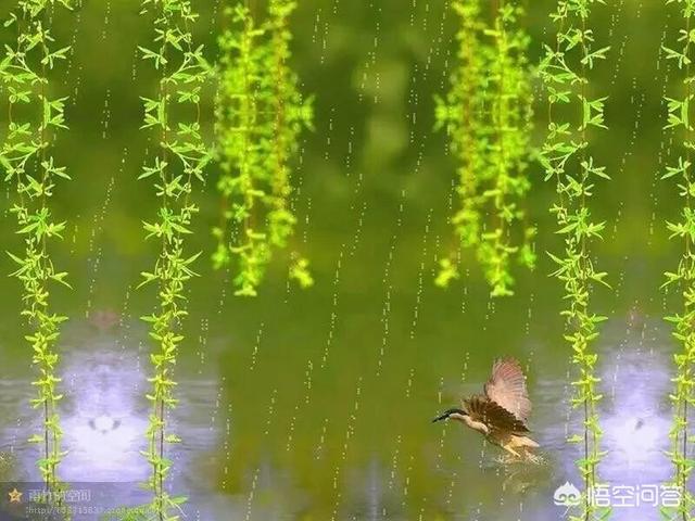 用一句诗描述一下你春天的心情？