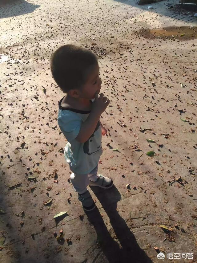 男人节是什么日子？