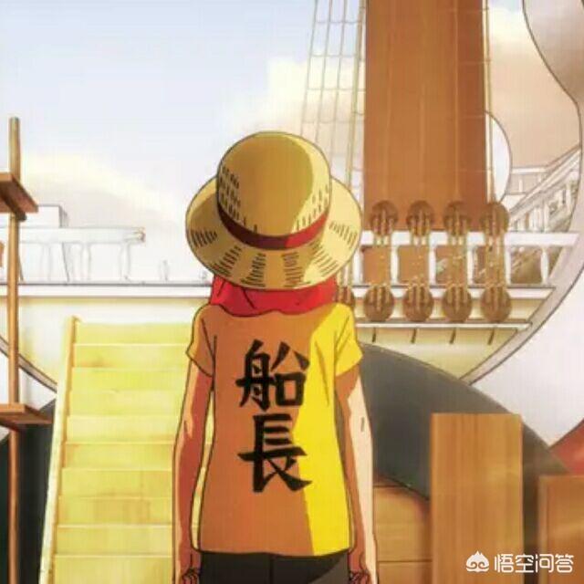 海贼王只有一个,那海贼团中非船长的人上船是为了什么？