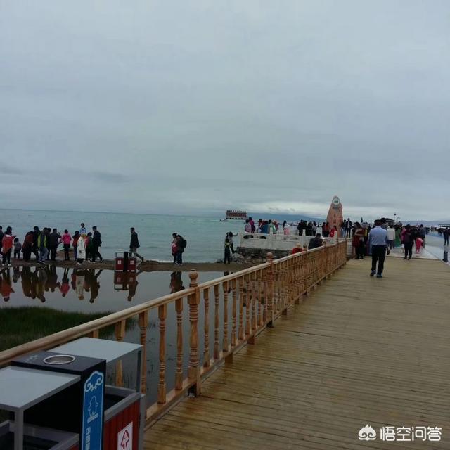 钓鱼猫现身柬埔寨网易:你今年有旅行计划吗，打算去哪里玩呢？