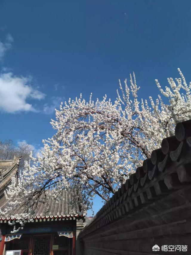 网友面基应该去哪？
