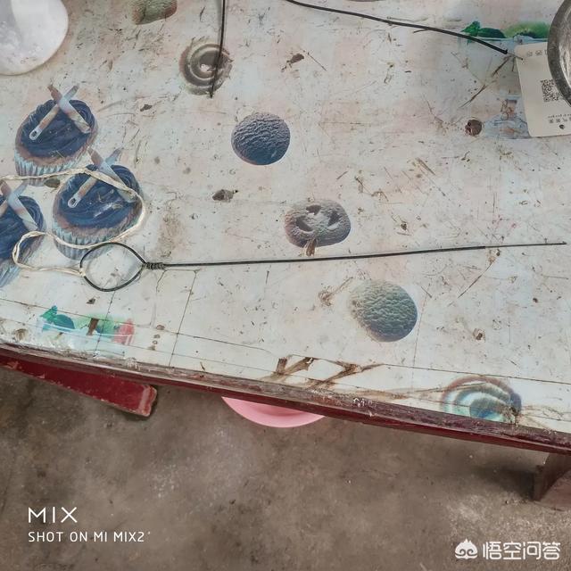 渔貂图片大全:钓黄鳝工具制作图片大全，钓黄鳝的钩子如何制作？