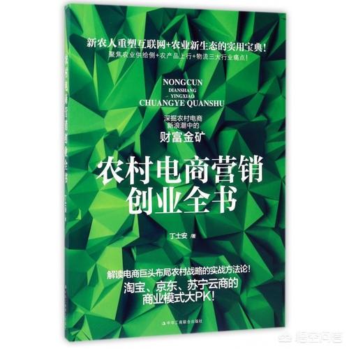 创业的国度 电子书，有没有适合农村电子商务的书，推荐一下