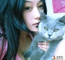 国产天然猫粮排行榜揭晓:最近想换粮了，有没有性价比高的猫粮品牌推荐？