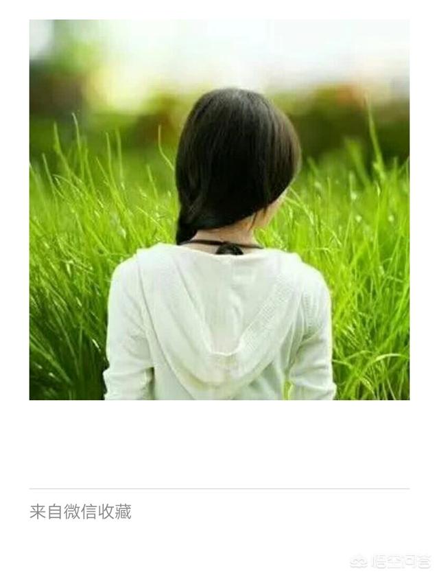 赵雨思:有人说当初特朗普女婿上哈佛是因为捐款才上的，是真的吗？