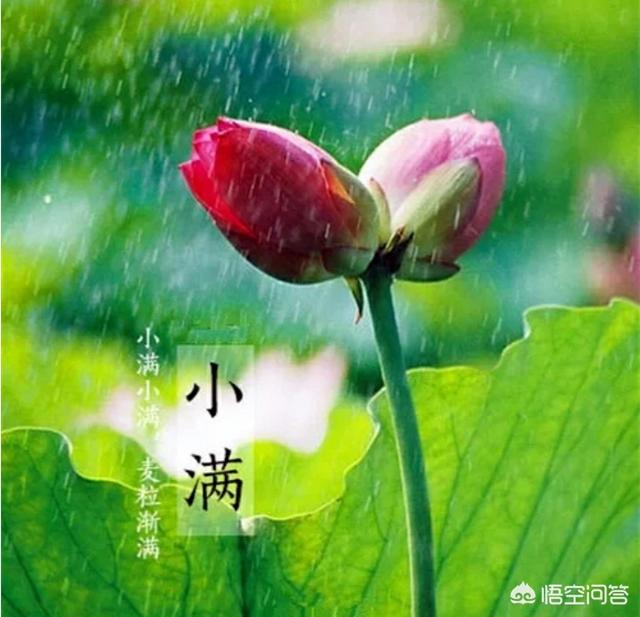 夏季雨天养生小知识图片(夏季雨天养生小知识图片高清)-第2张图片-鲸幼网