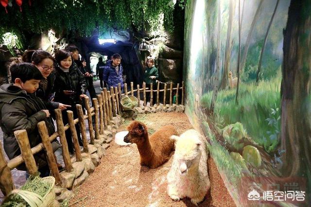 郑州附近有没有适合在室内的游乐场的地方？求推荐？