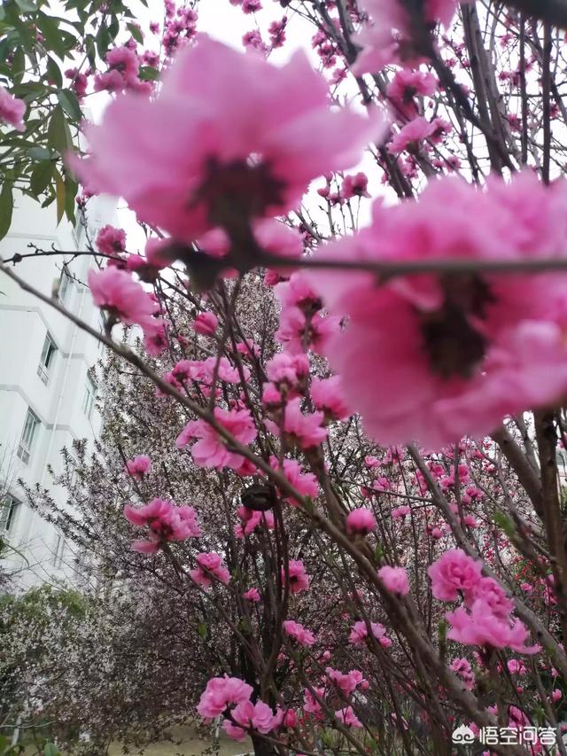 吴忠将军简历:你们家乡有哪些历史名人或者发生过哪些历史事件？