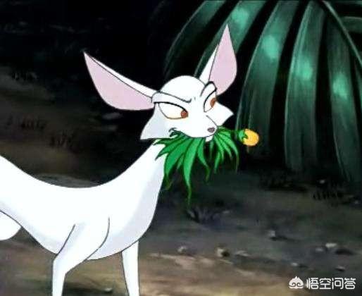 有人拍到真实的九尾狐，为什么有人说国产动画《哪吒传奇》里的“妲己”才是最真实的妲己