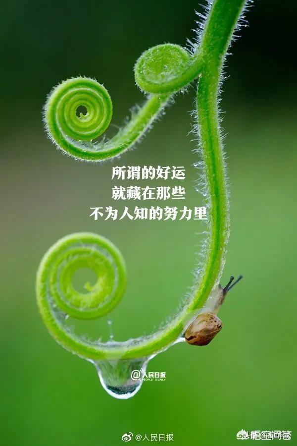 对于一个创业失败的人来说,在没有资金的情况下怎么才能成功创业呢？