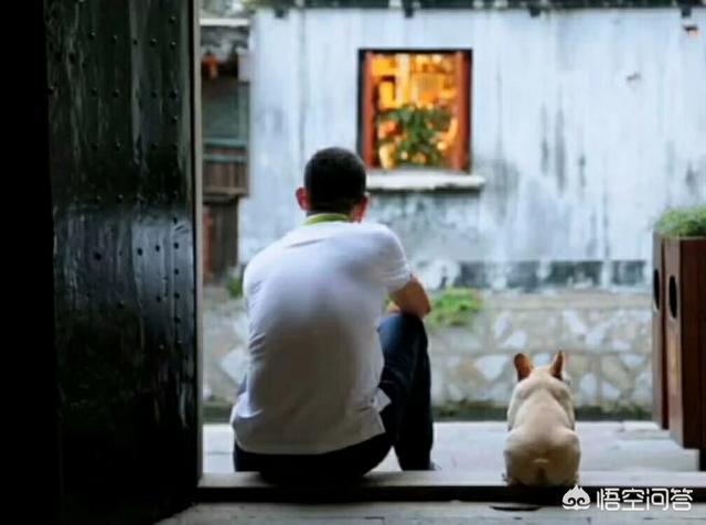 南京皇朝博美犬舍的介绍:怎么区分纯种博美和串串博美？ 南京皇朝博美犬舍