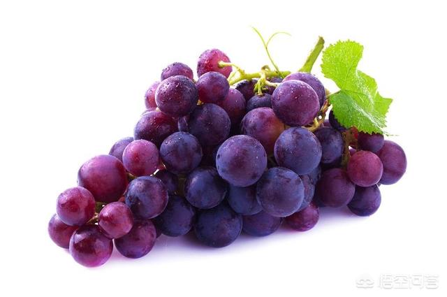 葡萄酒为什么不甜，葡萄为什么不甜要如何提高葡萄的甜度
