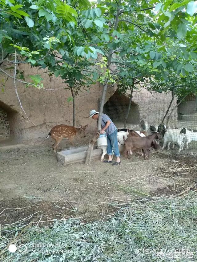 三农是什么？三农症结在哪里？