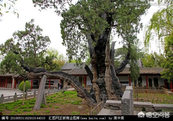 郑维山:大家对河南男人印象是什么？