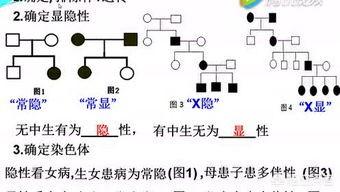 常见遗传病:常见遗传病基因筛查有必要做吗 有哪些疾病的遗传传男不传女？