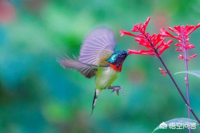 干净,人体最“干净”的地方是哪里呢？