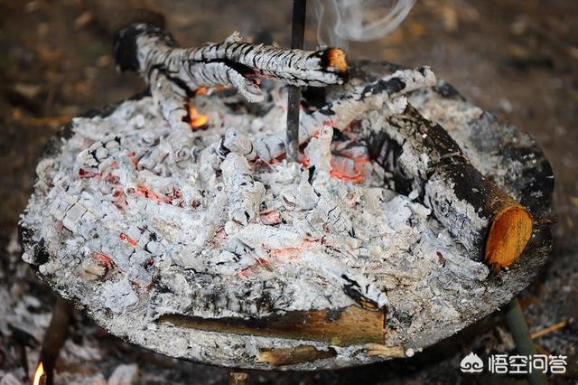 头条问答 木炭灰可以栽培发财树吗 3个回答