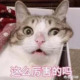范冰冰现在老公是谁:范冰冰公开承认的男友有哪些