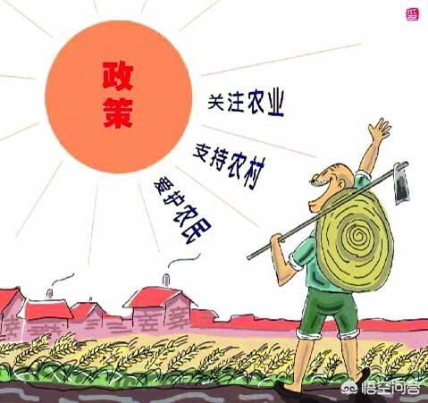 三农直播可以在哪里看？