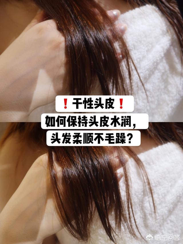 感觉头皮很干,有什么好用的洗护产品推荐？