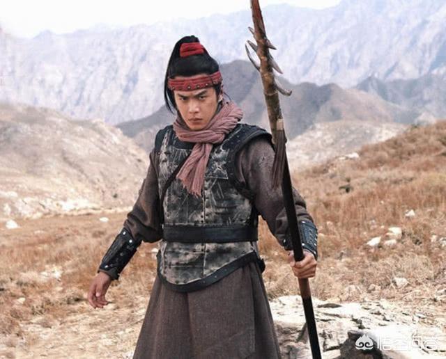 为什么卫青死后，汉武帝诛杀了其整个家族？插图93