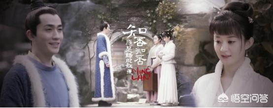 我的儿子是奇葩剧情介绍:都有哪些奇葩的电视剧名？