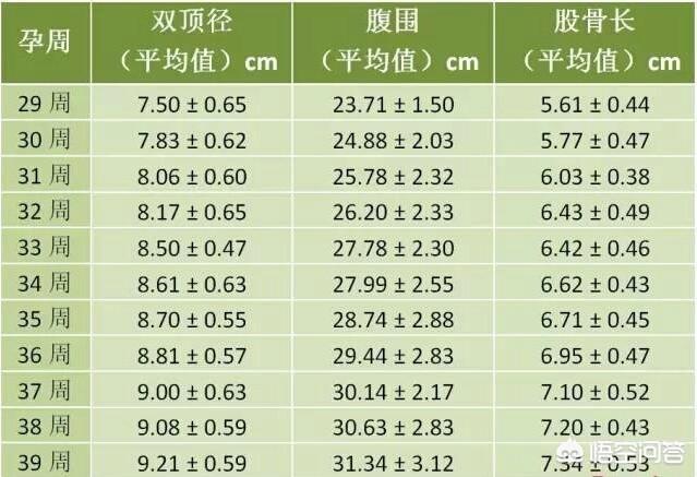 胎儿发育过程图:怀孕后女性身体会出现哪些变化?过程是怎样？