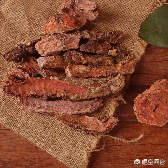 乌梢蛇的功效与作用:鹿茸、锁阳、红景天能和小蛇泡酒吗？