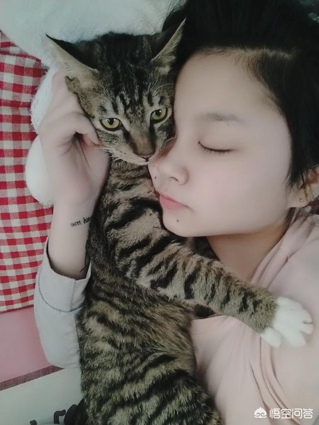 猫为什么喜欢睡床尾，猫咪喜欢睡在床上是因为喜欢铲屎官吗