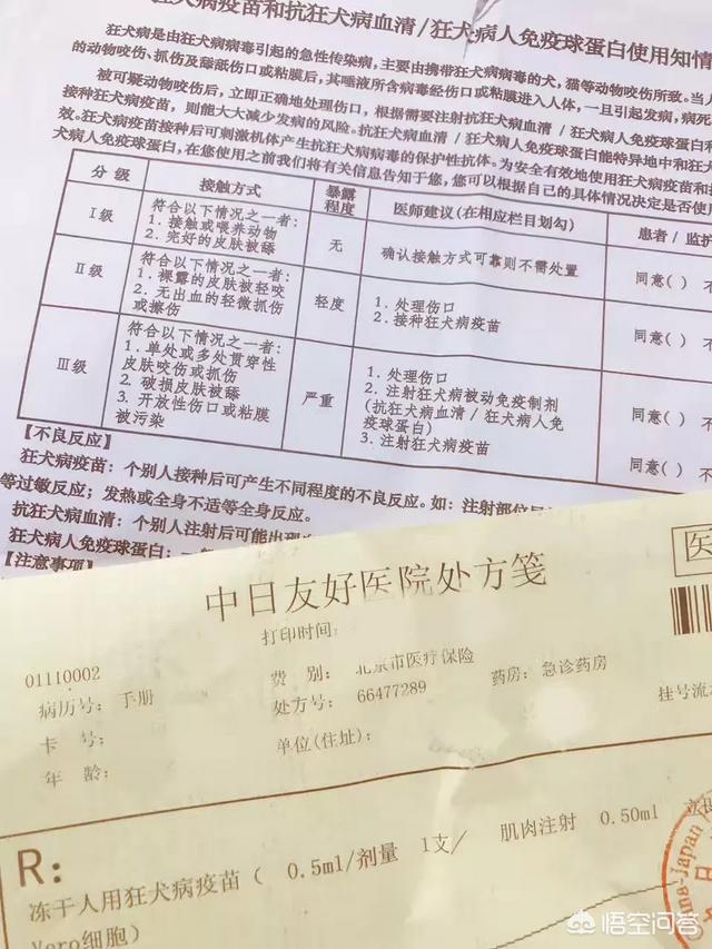 柯南 踩到猫了:不小心把猫咪的尾巴踩了，猫咪会怎么想？